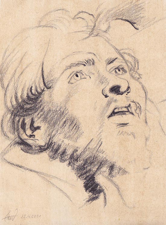 Copy: Head I by Rubens