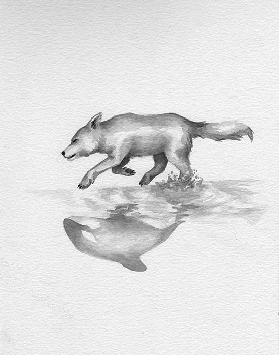 illustration for a book called Hati