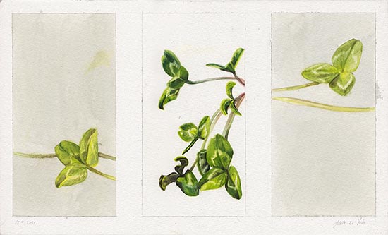 Trifolia triptych