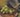 Painting of wine grapes